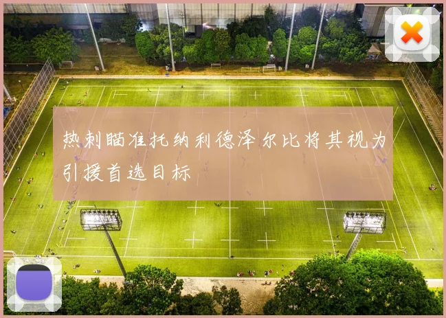 热刺瞄准托纳利德泽尔比将其视为引援首选目标